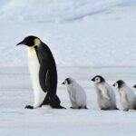 仙人さんマニア